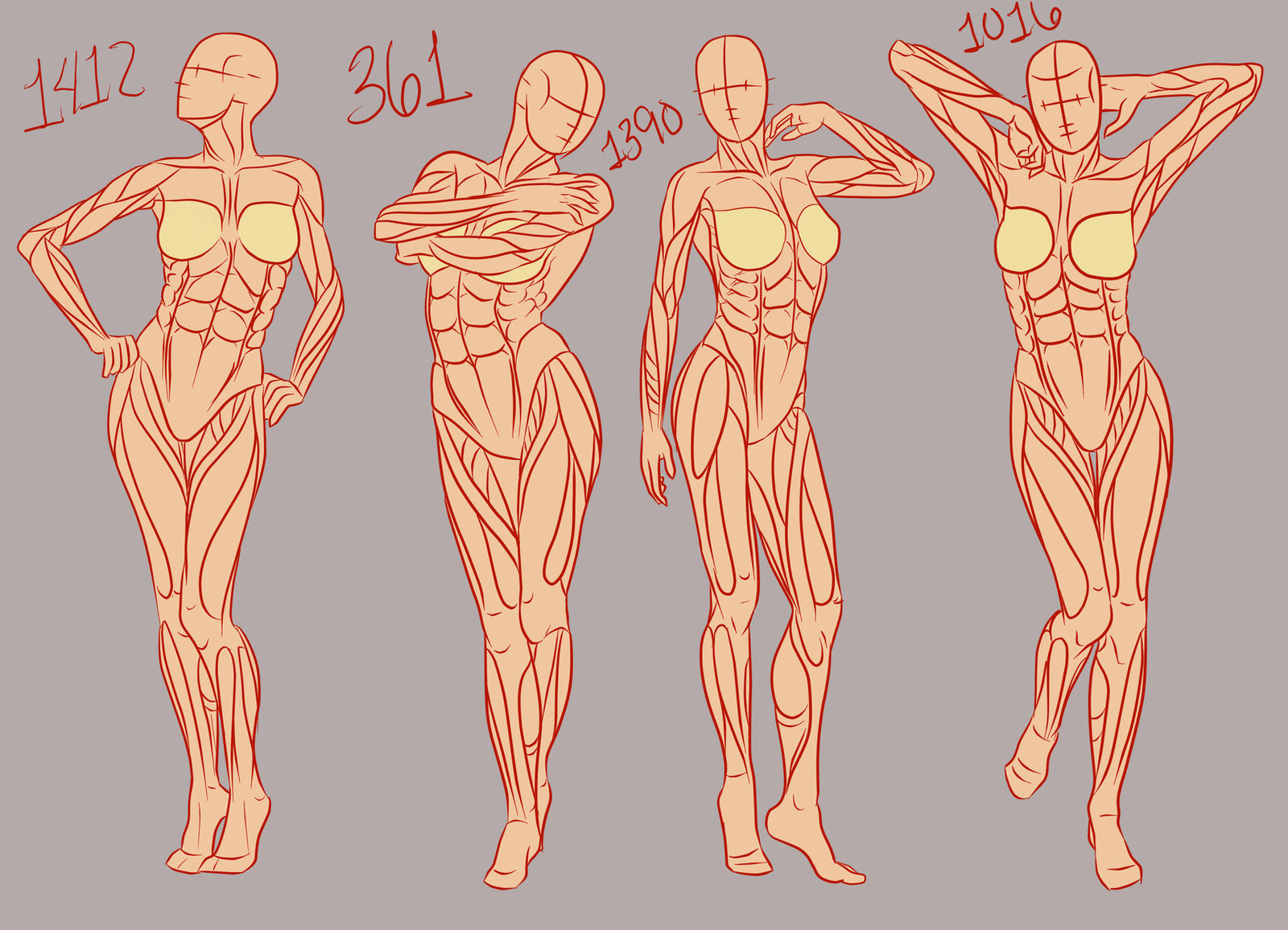 References, they do a body good: Female part 1 by Spork- on DeviantArt