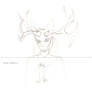 Jackal and deer antlers- sketch!