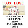 LOST MOMIZI