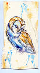 Complimentary Owl by Stargazer-Gemini