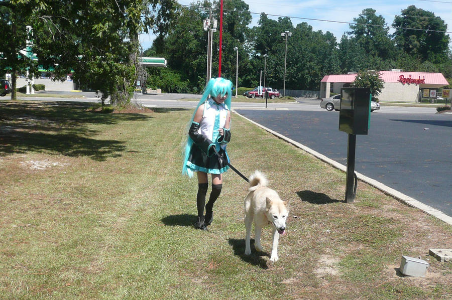 Miku Hastune Walking her dog