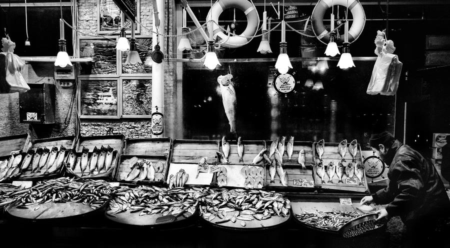 fisherman by alibektas fisherman by alibektas