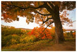 Autumn Daze by DennisChunga