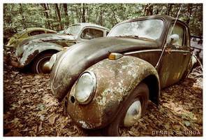 VW Graveyard