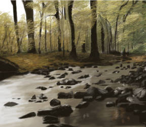 Forest Stream