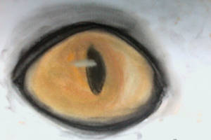 Eye - 2