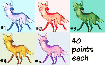 Coyote Adopts 40 points each OPEN