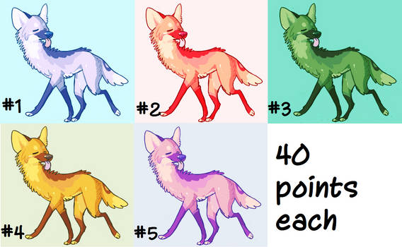 Coyote Adopts 40 points each OPEN