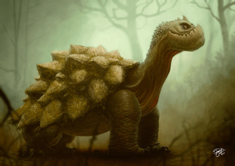 Turtle by Disse86 on DeviantArt