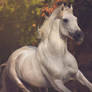 Fairytale White Stallion