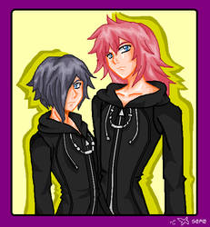 Marluxia and Zexion