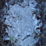 ice stock1