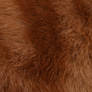 fur03