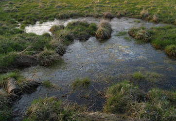 watercourse02
