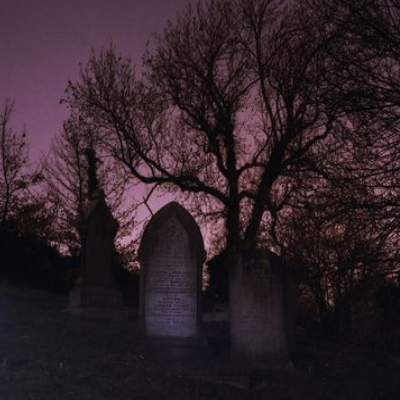image by CREATOR @ SITE ddamlqt-e495e485-0cdc-4771-ac50-ed232fe2