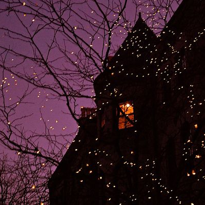 image by CREATOR @ SITE ddamlr8-0a959f1b-29f5-4dc2-9e5b-b4c69c27