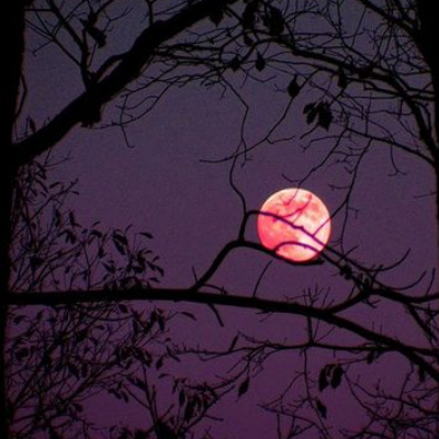 image by CREATOR @ SITE ddamlrd-726368b4-d287-479e-8b76-d79ce8a5