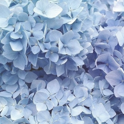 image by CREATOR @ SITE ddbi9y3-f9425cbb-5bd8-4914-8632-e85f0aad
