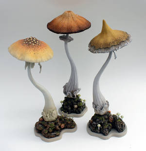 Make room for the Mystical Mushrooms