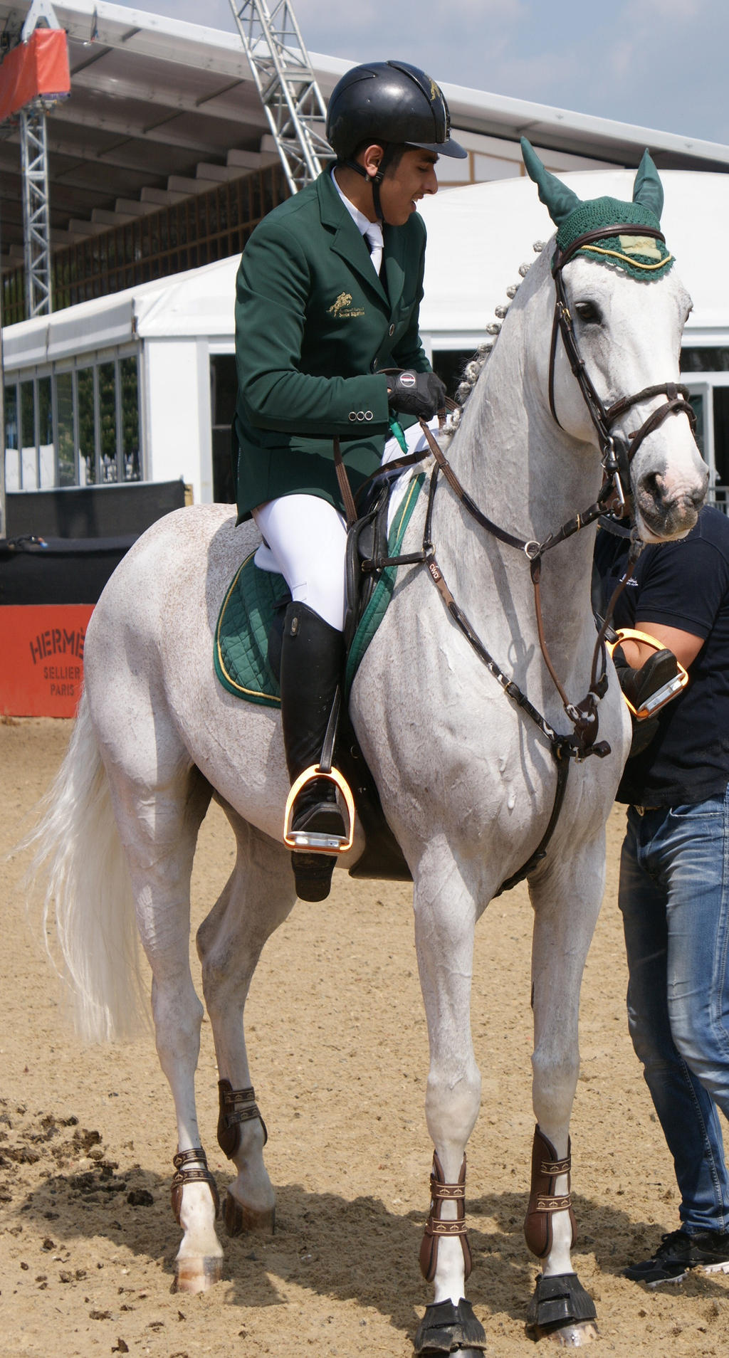 Ridden Grey Horse stock 4