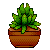 Plantfriend - Succulent Echeveria Agavoides Icon