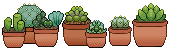 Cacti and Succulent Pixel