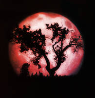 Blood Moon