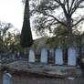 Sonora Old Cemetery III