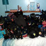 Toothless Hoard 2: Electric Boogaloo