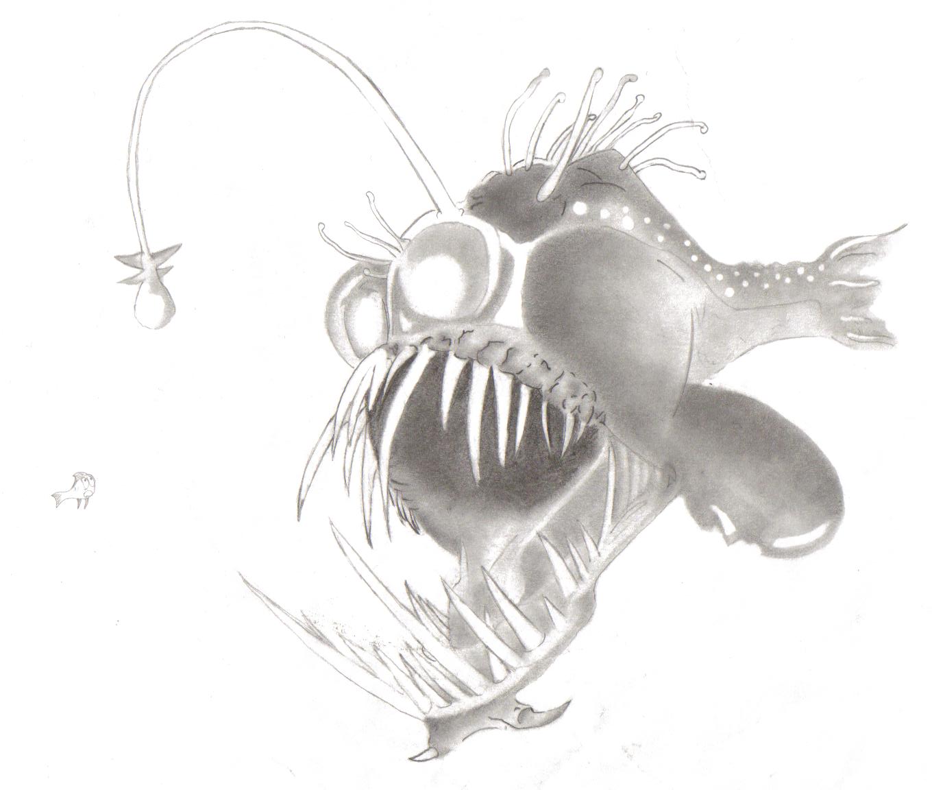 the angler fish by sheeku on DeviantArt