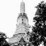 Wat Arun BW