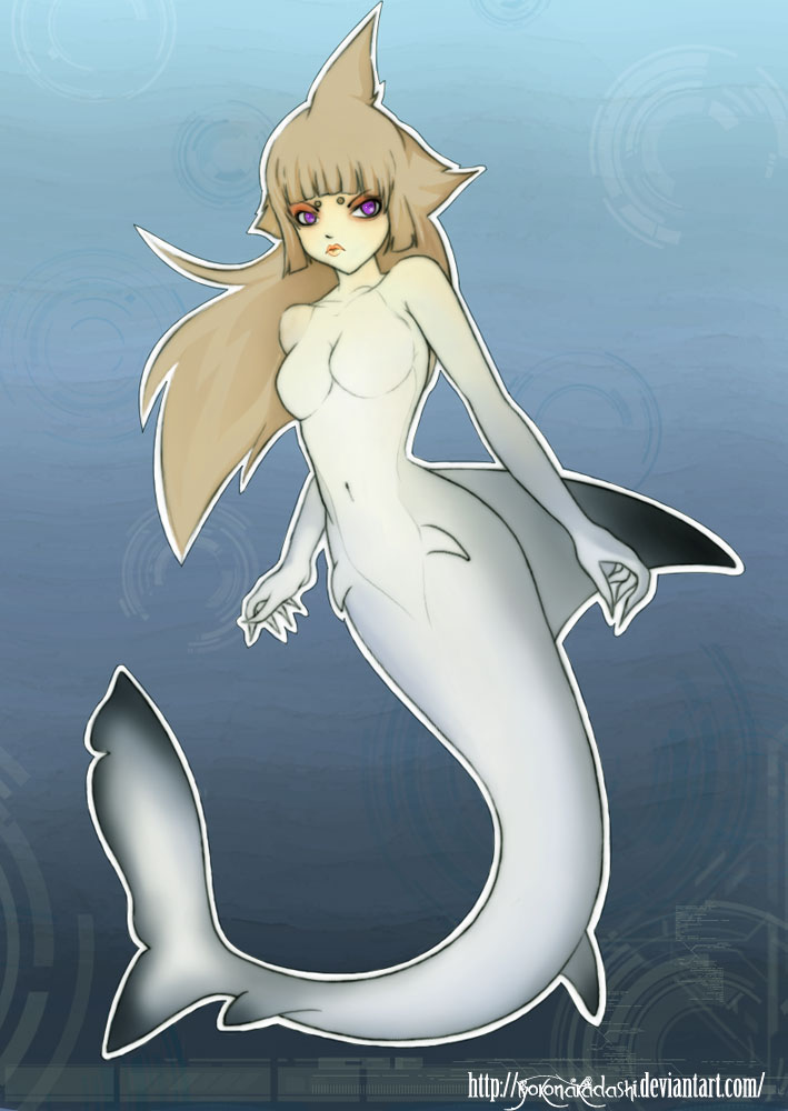 Sheix: Black Tip Atlantica