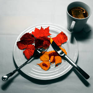 Plateful of autumn by Juho-JJ Plateful of autumn by Juho-JJ