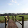 Bridge to greener pastures