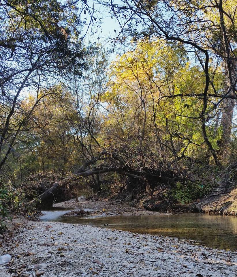 Creek bed