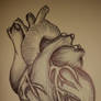 Realistic Heart Doodle