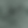 ipsum