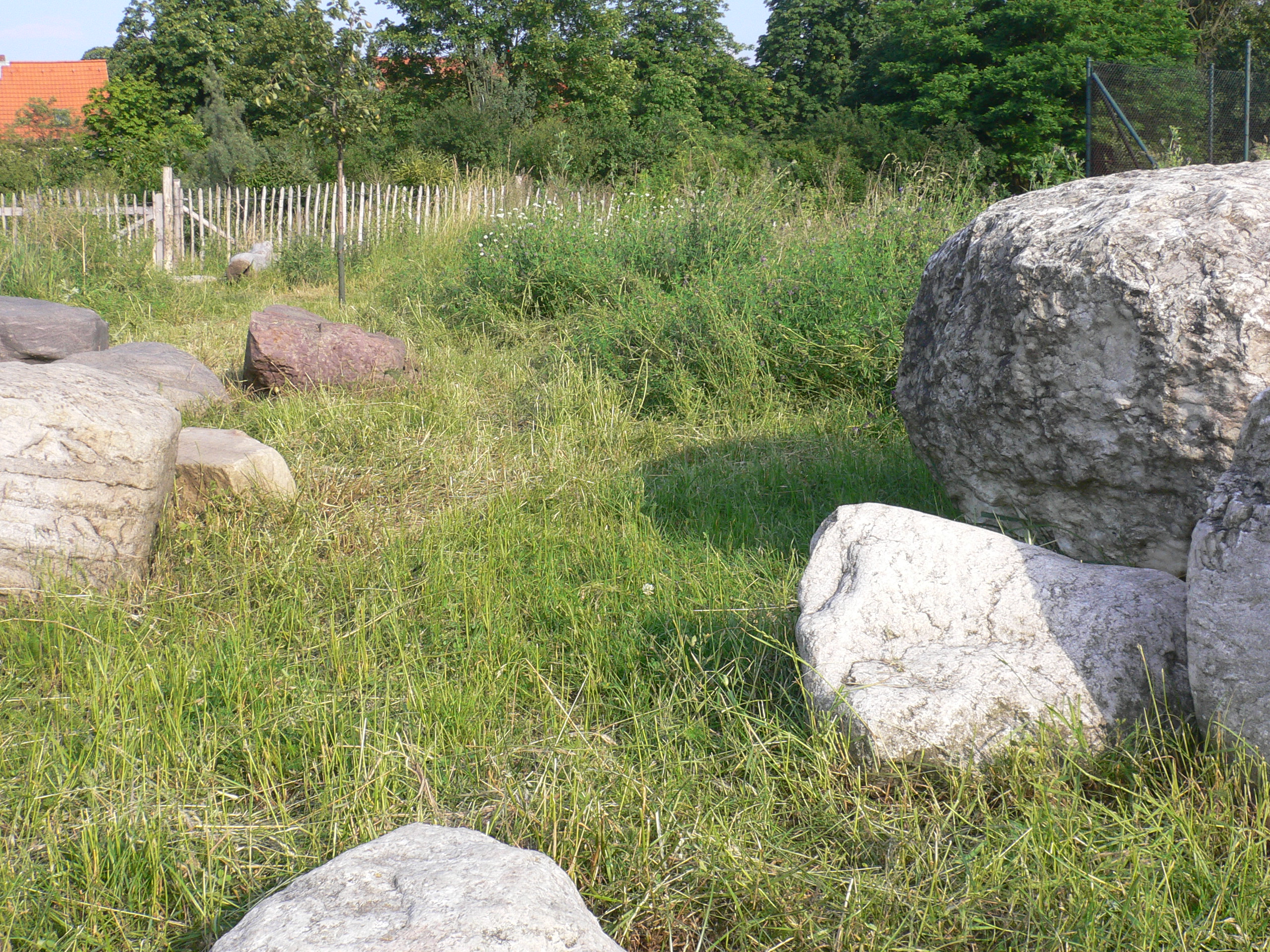 Stones Stock in the grass II