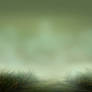 Gras Background Stock