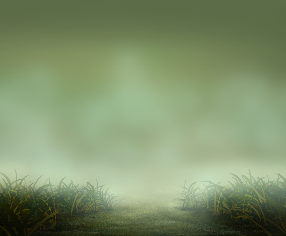 Gras Background Stock