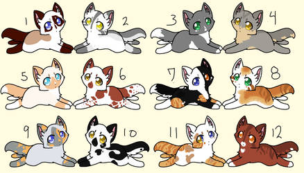 Cat Adopts OTA PENDING