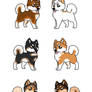 Shiba Inu adopts