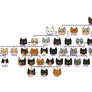Tigerstar Family Tree