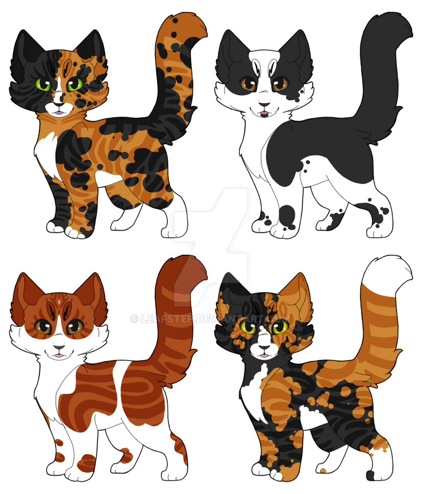 Hollyleaf X Fallen Leaves Kits Open By Leafstep On Deviantart Hollyleaf X Fallen Leaves Kits Open By Leafstep On Deviantart