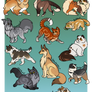 Heatherclan Adopt CLOSED