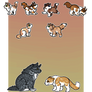 Family Adopts Set 2 OPEN 2/3