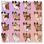 Cinnamon/Fawn Adopts 8/16 OPEN