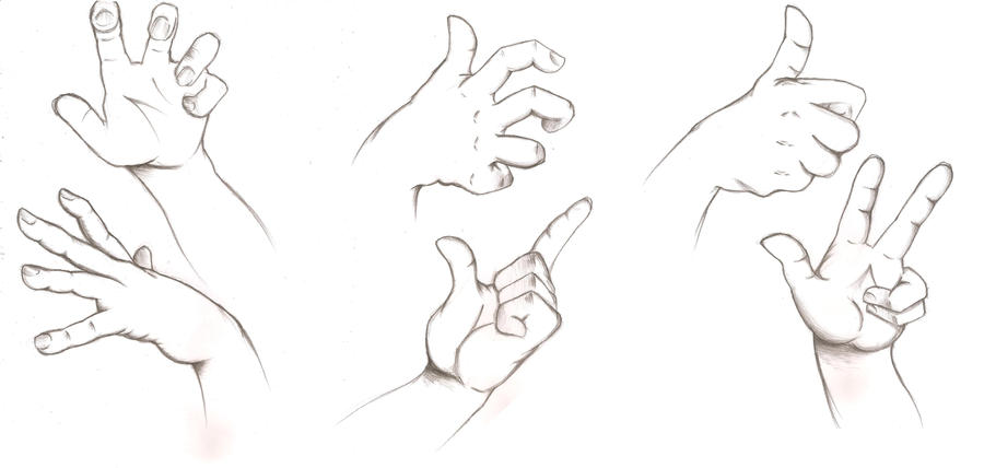 Hand Function Problems Cartoon Hand Anatomy by Bianca-ink-cartoon on DeviantArt