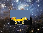 CatDog in Space