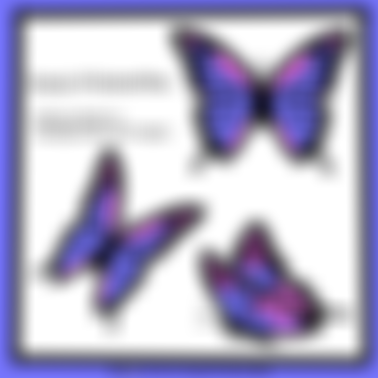 Study Of Butterflies